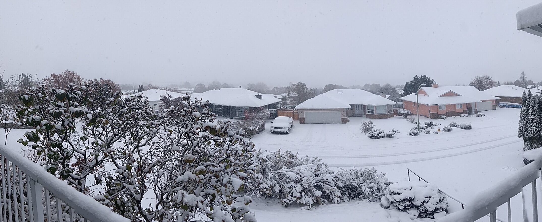 Click for enlargement